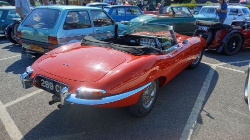 IMG-20250511-WA0005 IMG-20250511-WA0005